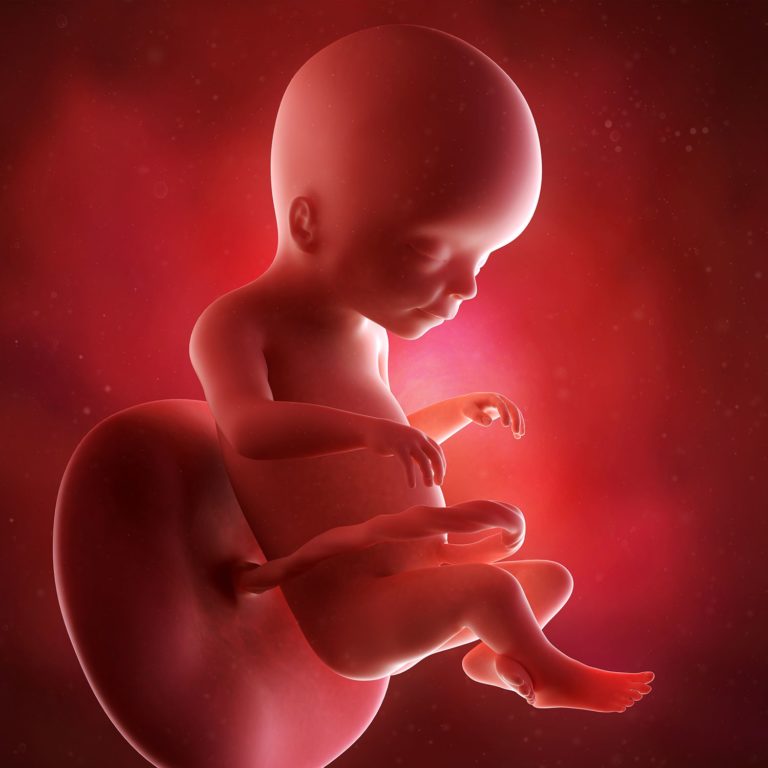 issue-conception-child-birth-prediction-by-astrological-guidance